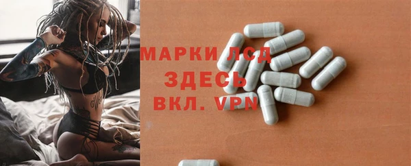 ПСИЛОЦИБИНОВЫЕ ГРИБЫ Богданович