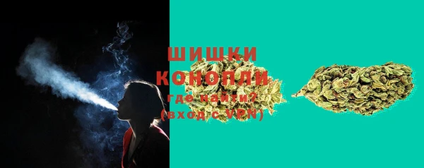 ПСИЛОЦИБИНОВЫЕ ГРИБЫ Богданович